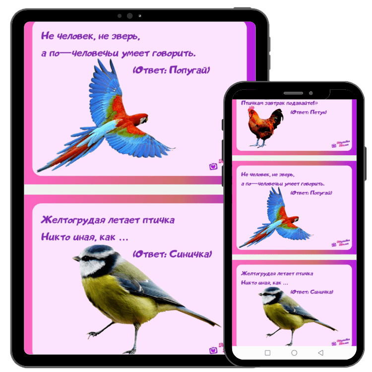 №10 Мини-книга «Загадки про птиц»: 15 страниц