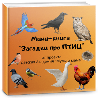 мини книга про птиц